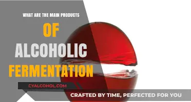 Exploring the Key Products of Alcoholic Fermentation: A Comprehensive Guide