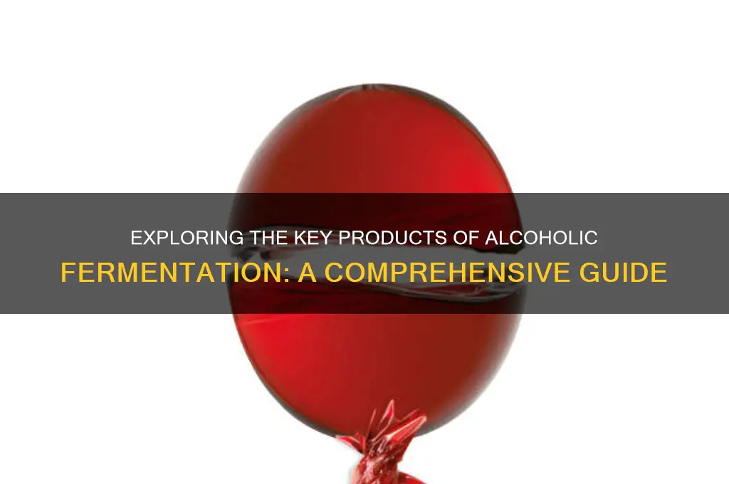 what are the main products of alcoholic fermentation
