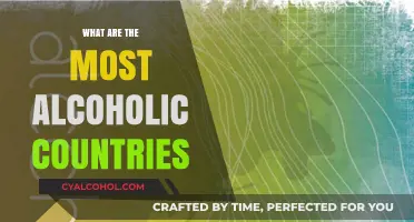 Global Booze Breakdown: Top Nations Leading Alcohol Consumption Trends