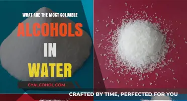 Exploring Water-Soluble Alcohols: Which Ones Mix Best with Water?