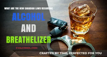 New Canadian Alcohol Laws: Breathalyzers and You