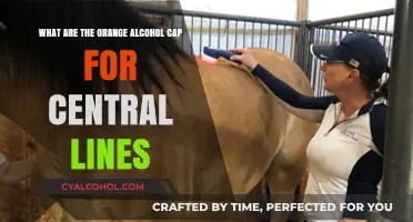 Alcohol Caps: Central Line Safety Protocol