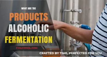 Exploring Alcoholic Fermentation: Key Products and Their Uses