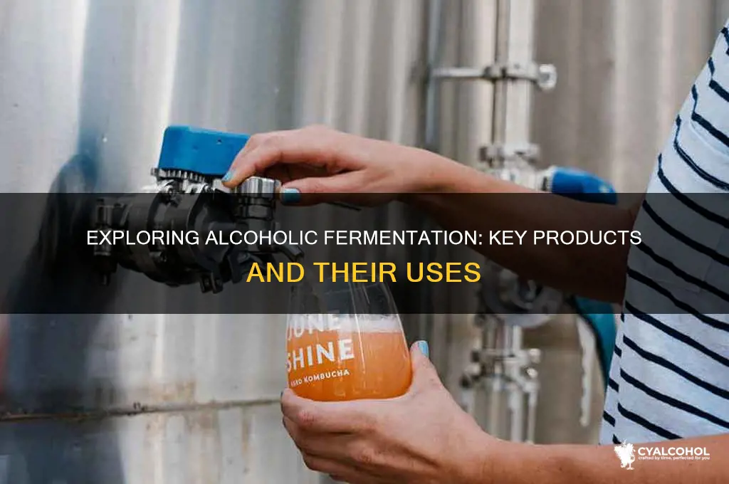 what are the products alcoholic fermentation