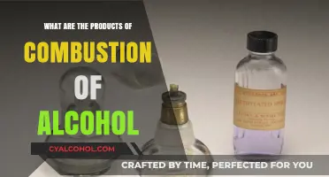 Understanding Alcohol Combustion: Products, Reactions, and Chemical Processes