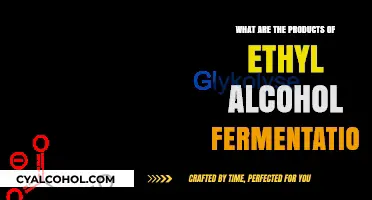 Exploring the Key Products of Ethyl Alcohol Fermentation Process