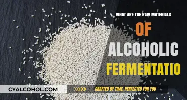 Raw Materials Unveiled: The Key Ingredients for Alcoholic Fermentation