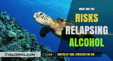 Understanding the Serious Risks of Relapsing into Alcohol Abuse