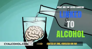 Alcohol's Dark Link: Seven Cancers Tied to Drinking