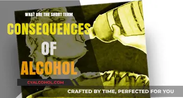 Immediate Effects of Alcohol: Understanding the Short-Term Consequences