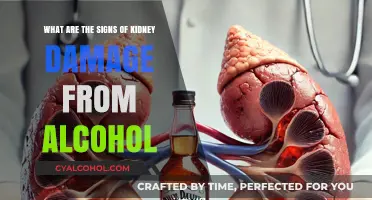 Alcohol's Impact: Kidney Damage Signs