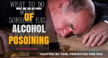 Recognizing Alcohol Poisoning: Six Critical Signs to Watch For