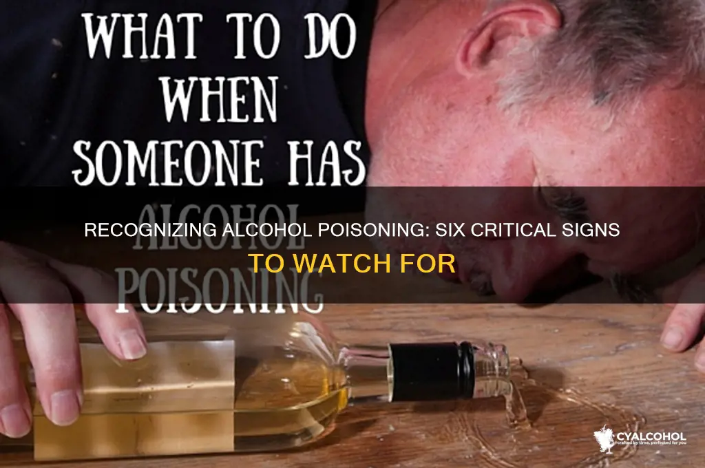 what are the six signs of alcohol posoining