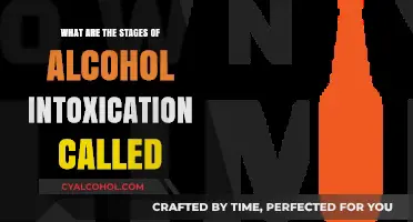 Understanding Alcohol Intoxication: The Stages and Their Effects Explained