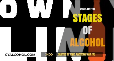 Understanding Alcohol's Journey: Stages of Intoxication Explained