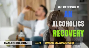 Navigating Sobriety: Understanding the Stages of Alcohol Recovery