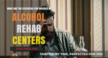 Success Rates of Alcohol Rehab Centers: The Statistics