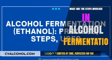 Mastering Alcohol Fermentation: Key Steps for Perfect Brewing Results