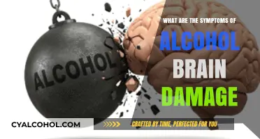 Recognizing Alcohol-Related Brain Damage: Symptoms and Warning Signs