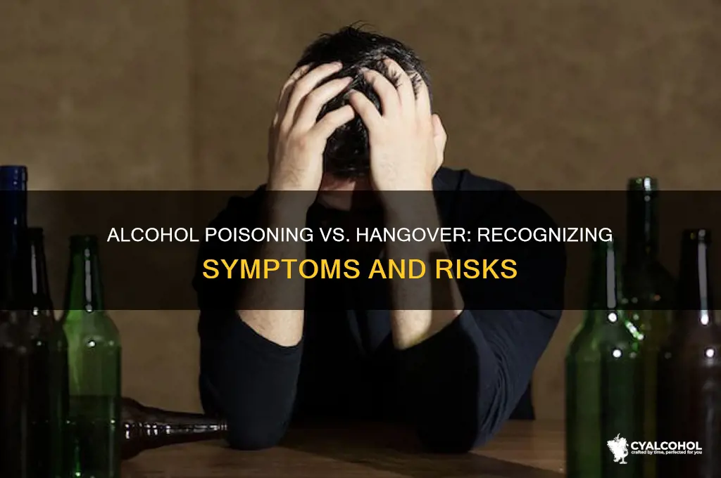 what are the symptoms of alcohol poisoning hangover