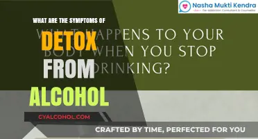 Recognizing Alcohol Detox Symptoms: Signs, Timeline, and Support Strategies