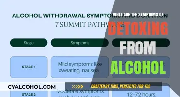 Recognizing Alcohol Detox Symptoms: What to Expect During Recovery