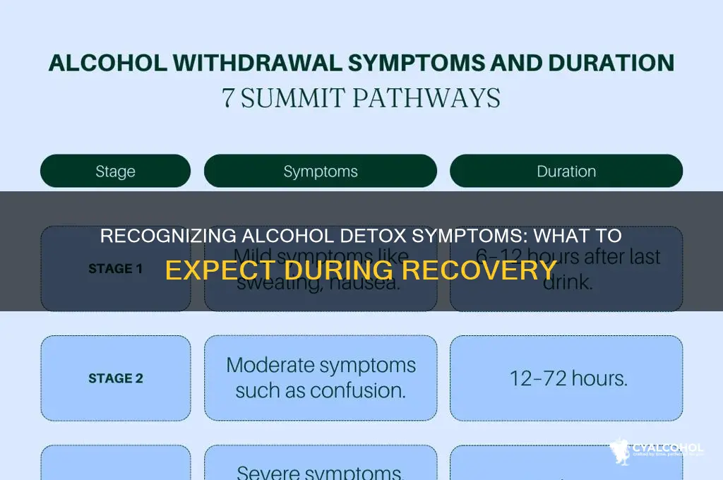 what are the symptoms of detoxing from alcohol