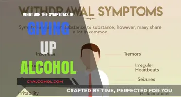 Symptoms of Quitting Alcohol: Navigating Withdrawal and Recovery Challenges