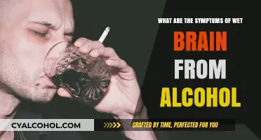 Wet Brain: Alcohol's Impact and Symptoms