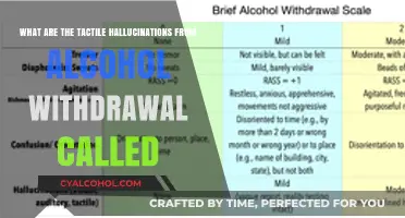 Tactile Hallucinations: Alcohol Withdrawal's Strange Side Effect