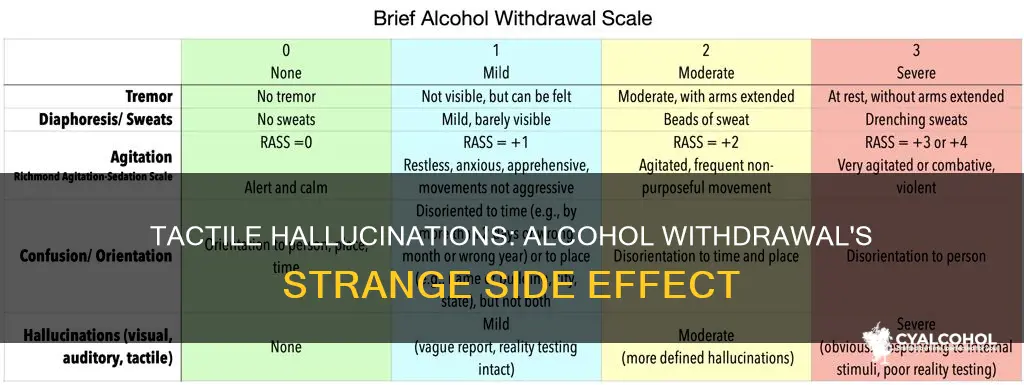 what are the tactile hallucinations from alcohol withdrawal called
