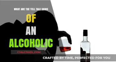 Signs of Alcoholism: When Drinking Becomes a Problem