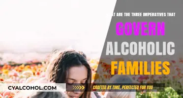 Alcoholic Families: Three Rules That Govern