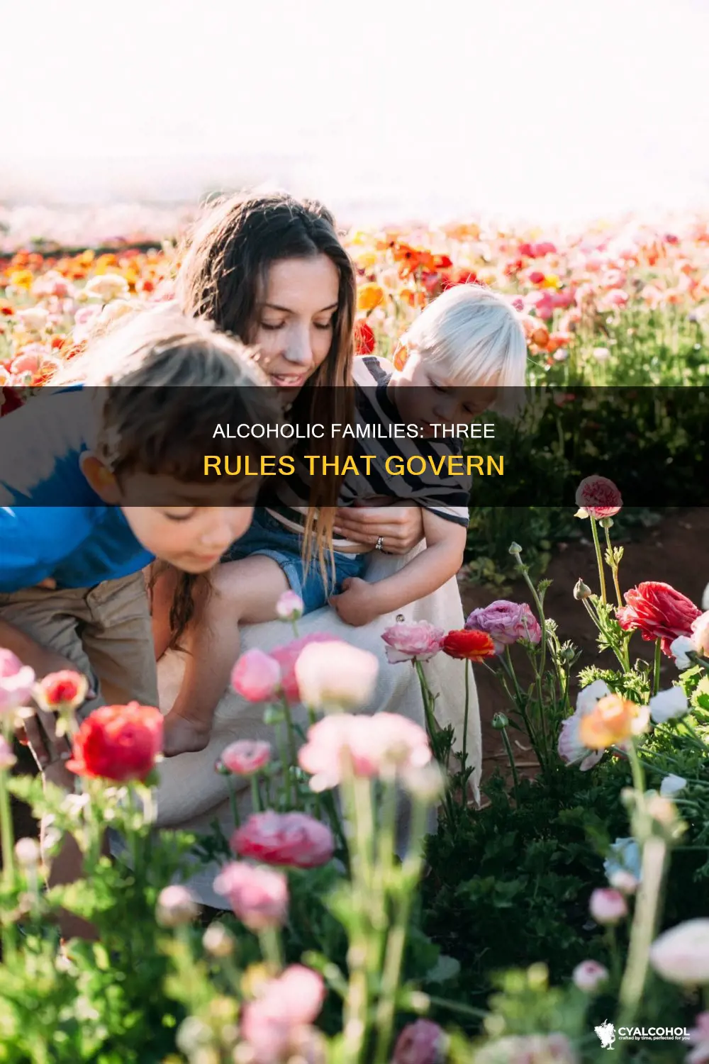 what are the three imperatives that govern alcoholic families