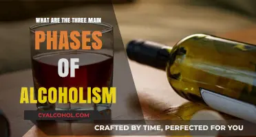 Understanding Alcoholism: The Three Critical Phases Explained