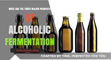 Major Products of Alcoholic Fermentation