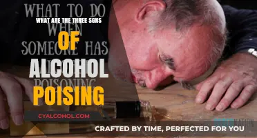 Recognizing Alcohol Poisoning: Three Critical Signs to Watch For