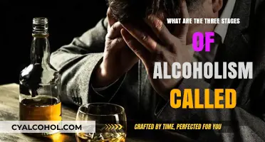 Understanding Alcoholism: The Three Stages and Their Impact