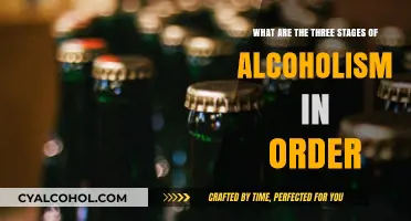 Alcoholism Progression: 3 Stages of a Dark Journey