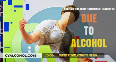 Alcohol Hangover Theories: Why That Nasty Headache?