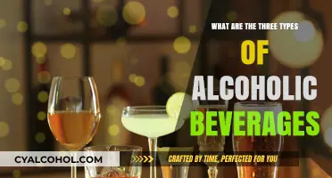 Exploring the Three Main Categories of Alcoholic Beverages