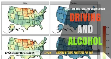 Alcohol-Related Traffic Deaths: A Preventable Tragedy