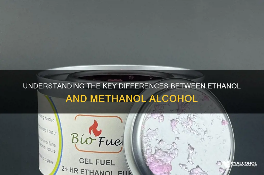 what are the two different types of alcohol