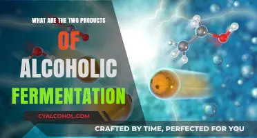 Unveiling Alcoholic Fermentation's Key Outputs: Ethanol and Carbon Dioxide