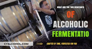 Understanding Alcoholic Fermentation: Key Reactants and Their Role