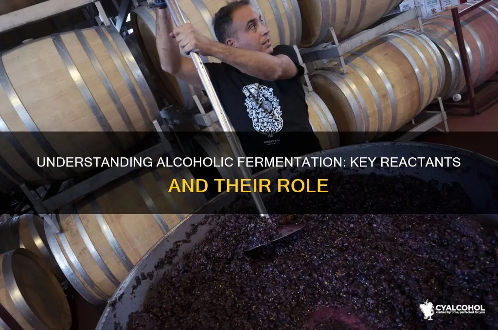 what are the two reactants of alcoholic fermentation