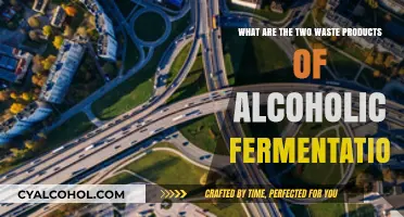 Carbon Dioxide and Ethanol: Byproducts of Alcoholic Fermentation