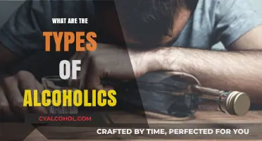 Understanding Alcoholism: Exploring the Diverse Types of Alcoholics