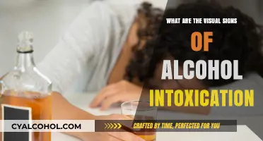 Recognizing Alcohol Intoxication: Key Visual Signs to Watch For