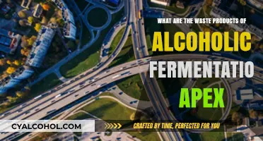 Fermentation's Unwanted Byproducts: Alcohol's Waste Products Explored